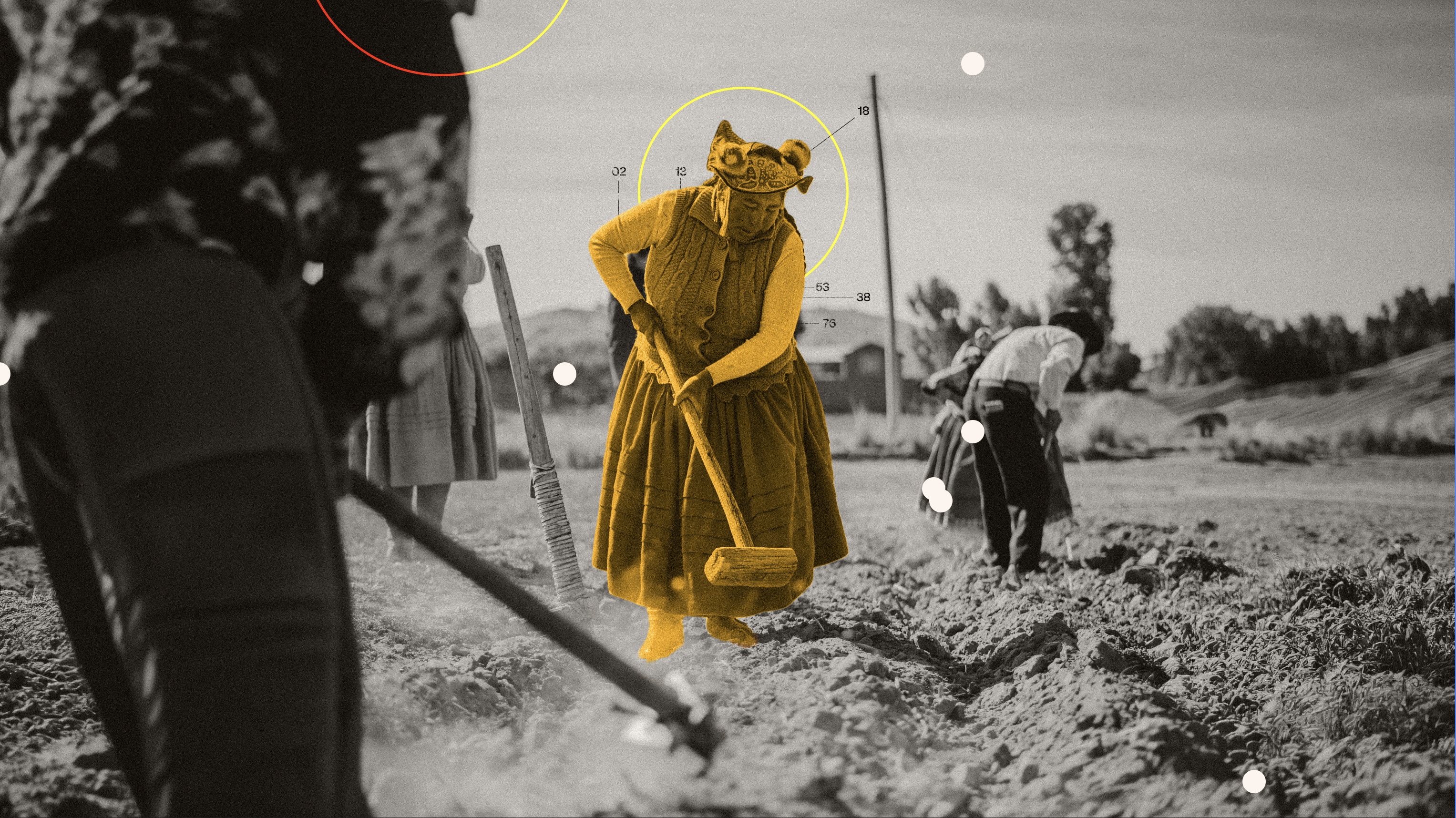 Women working in a field, illustrated with graphic annotations