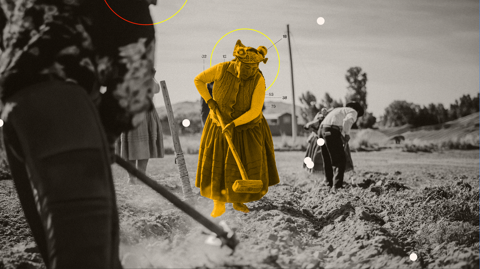 A woman farm worker highlighted in Fuller's impact reporting