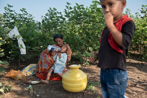 Global Repercussions of Exploitation in Sugar Farms