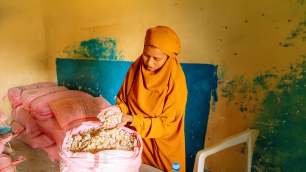 U.S. Blocks Imports Over Forced Labor in Somaliland